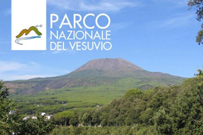 Casa Del Principe Daire Ottaviano Dış mekan fotoğraf